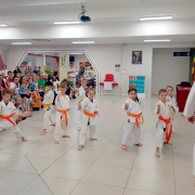 karate1